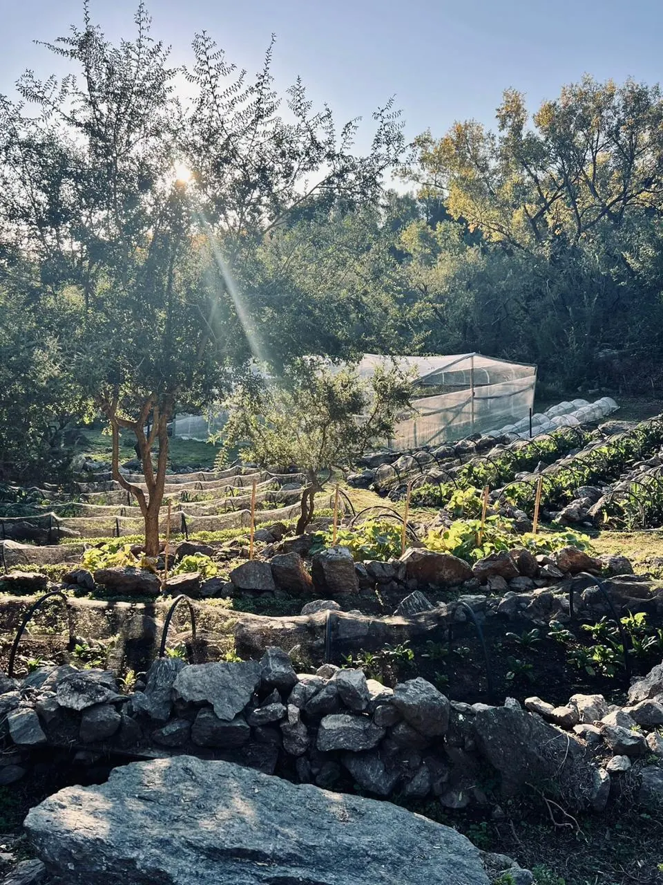 La huerta de La Abundancia.