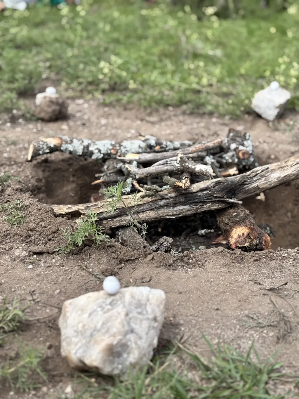 Los huevos de lagarto sobre los cuarzos alrededor del fuego en el despacho.