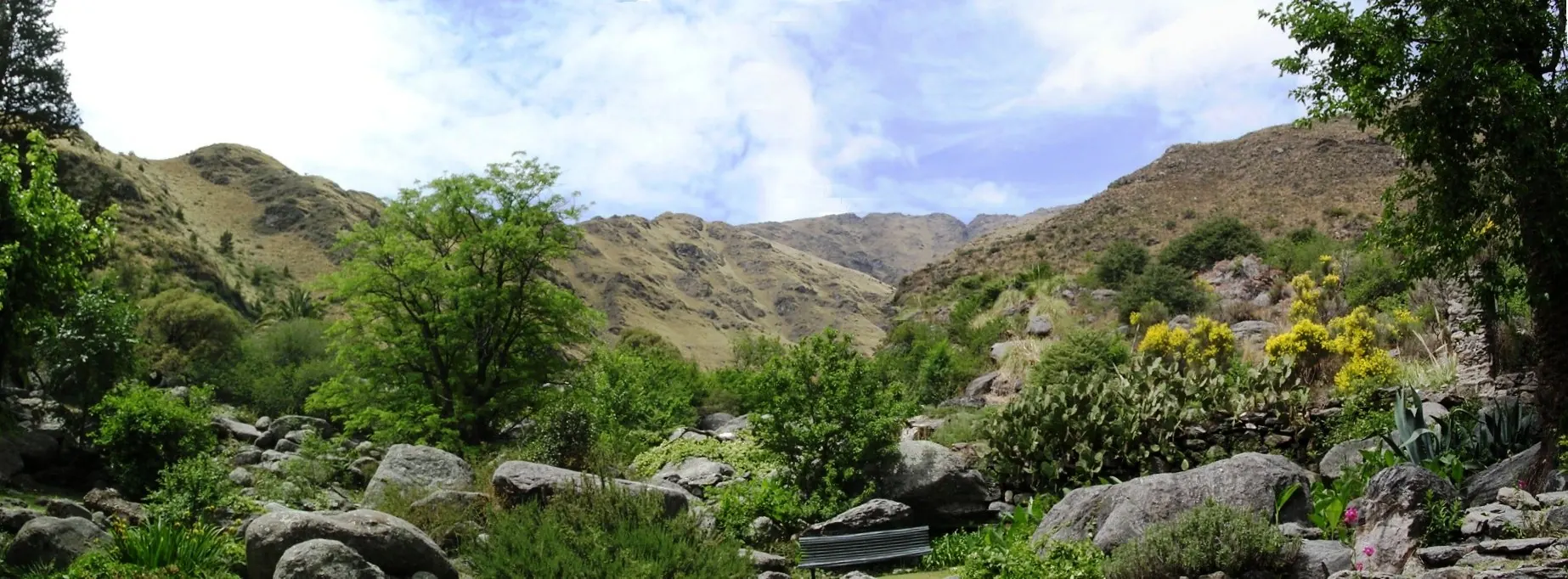 Panorámica de la quebrada con las rocas del cauce y los arbustos florecidos.