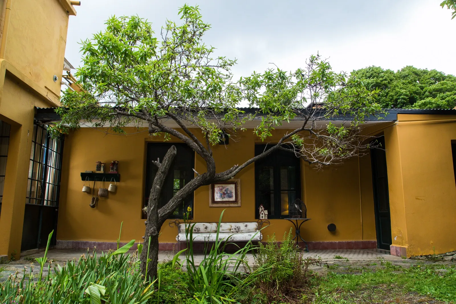 El patio interno de la casa ocre, con un árbol en el medio y un banco antiguo contra la pared.