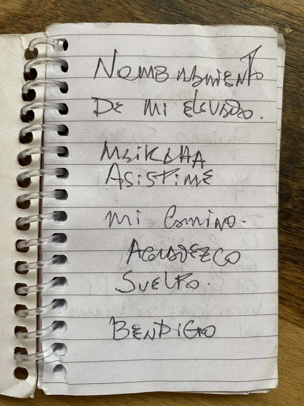 Libretita que llevé a la ceremonia la noche previa al encuentro con Maikaha.