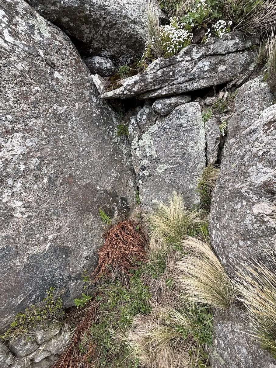 La puerta de piedra.