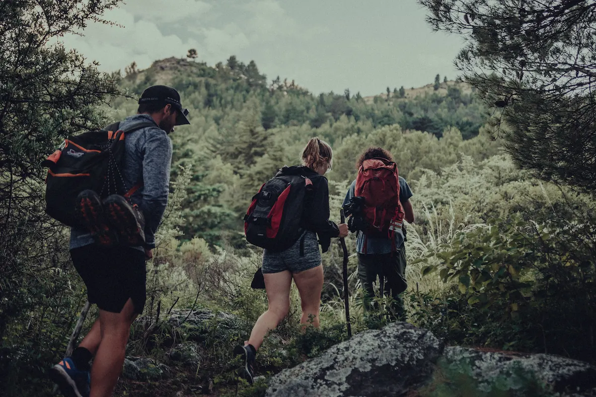 Tres caminantes con mochilas subiendo por el bosque.