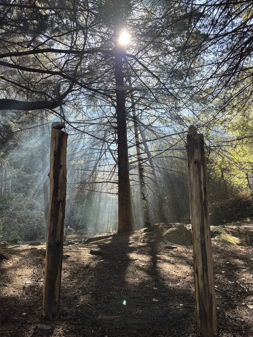 El Bosque de los Ancestros