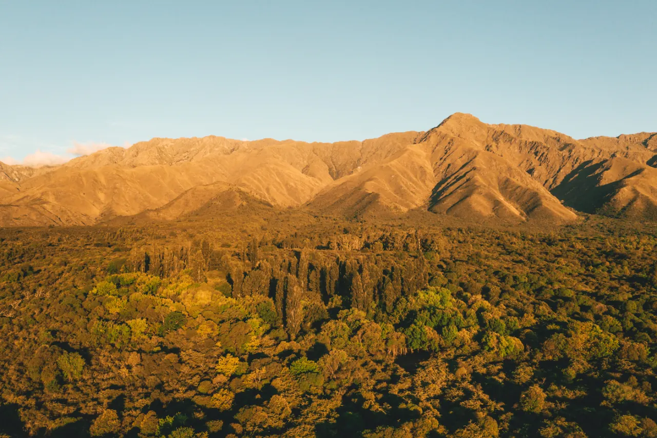 El filo de las Sierras Grandes encendido por la última luz del día, sobre el bosque de tabaquillos.