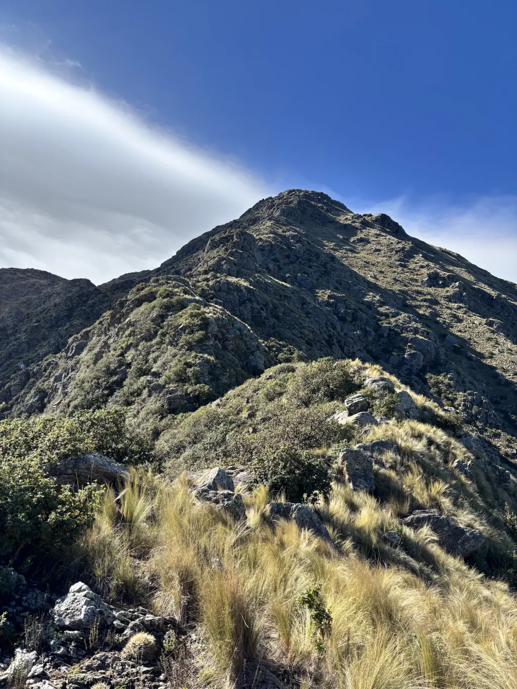 Cerro Lindero.