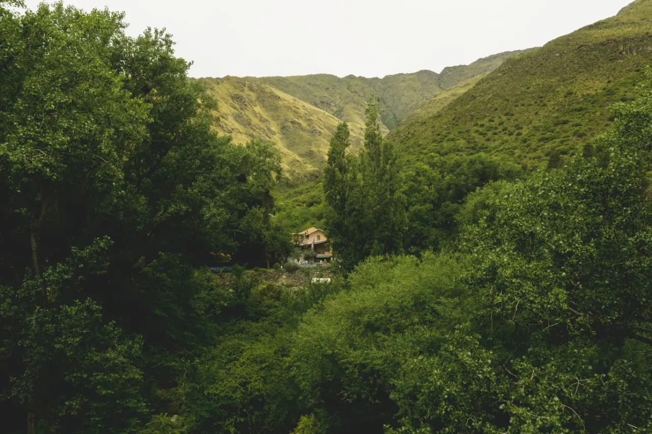 La quebrada cerrada de vegetación, con el techo de la casa asomando entre los árboles.