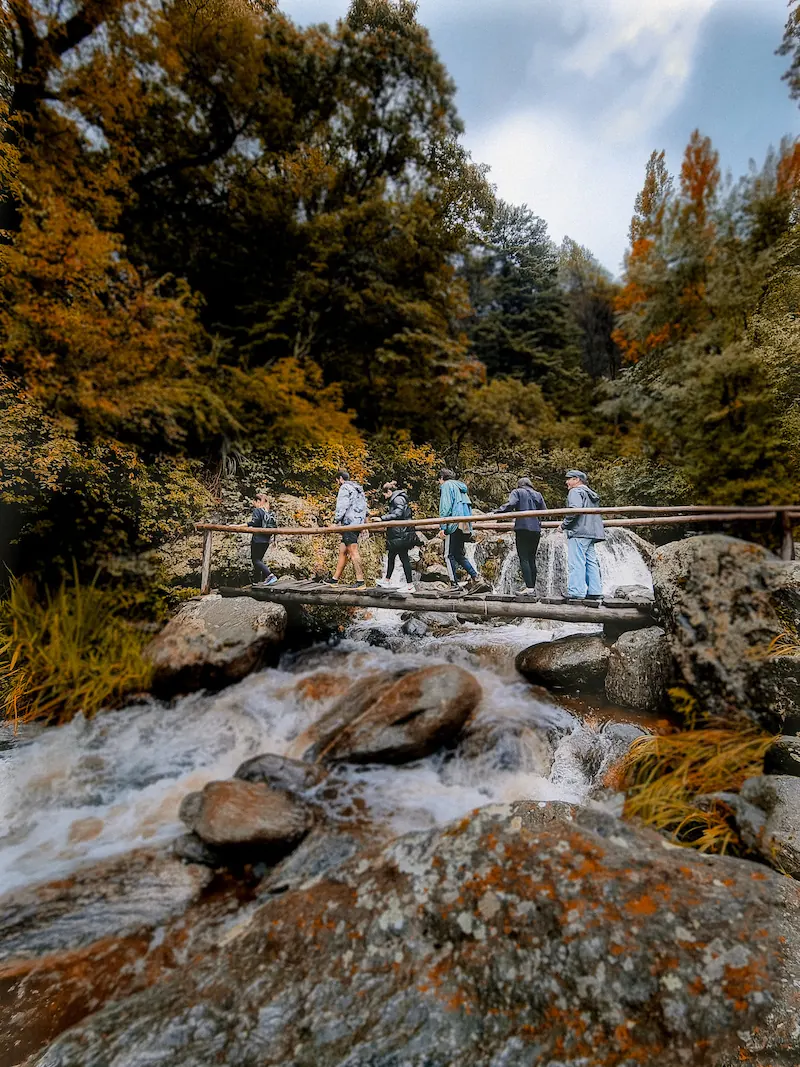 Un grupo cruzando un puente de madera sobre el arroyo, entre vegetación.