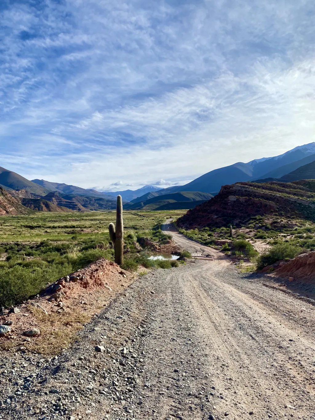 Ruta 40 entre cachi y San Antonio de los Cobres.