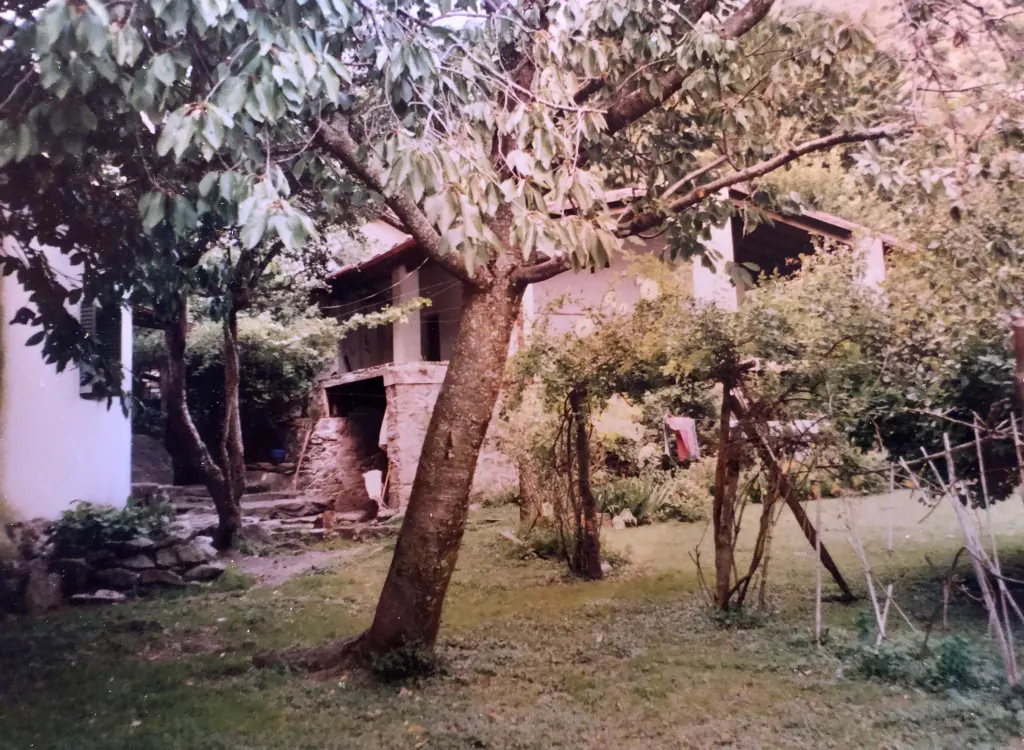 El jardín principal antes de la restauración.
