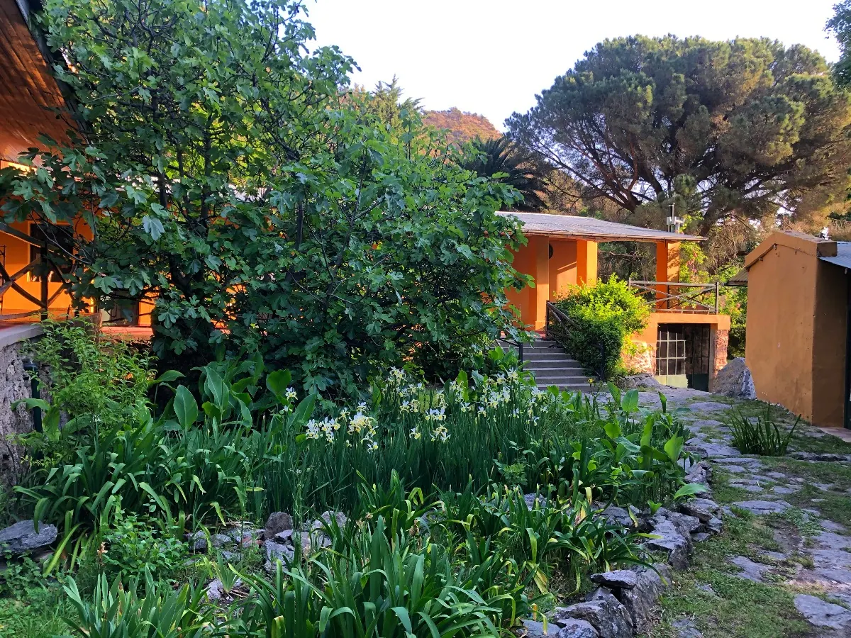 El jardín con lirios blancos en flor y la casa ocre detrás, a la luz de la tarde.