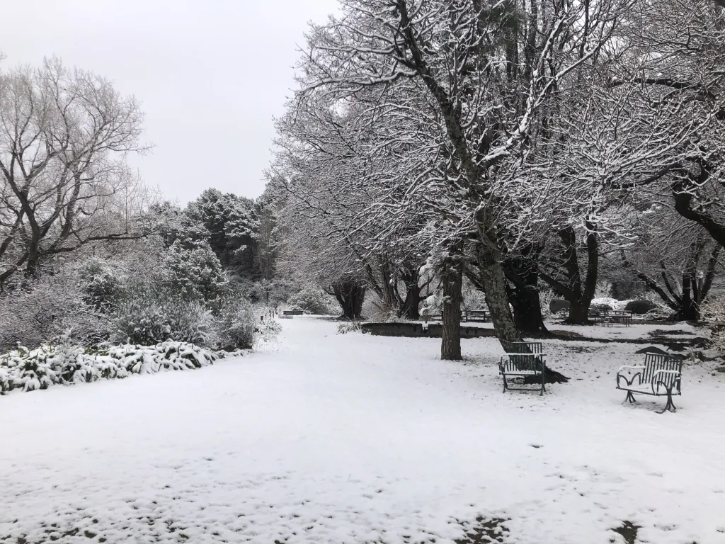 Nevada en La Constancia.