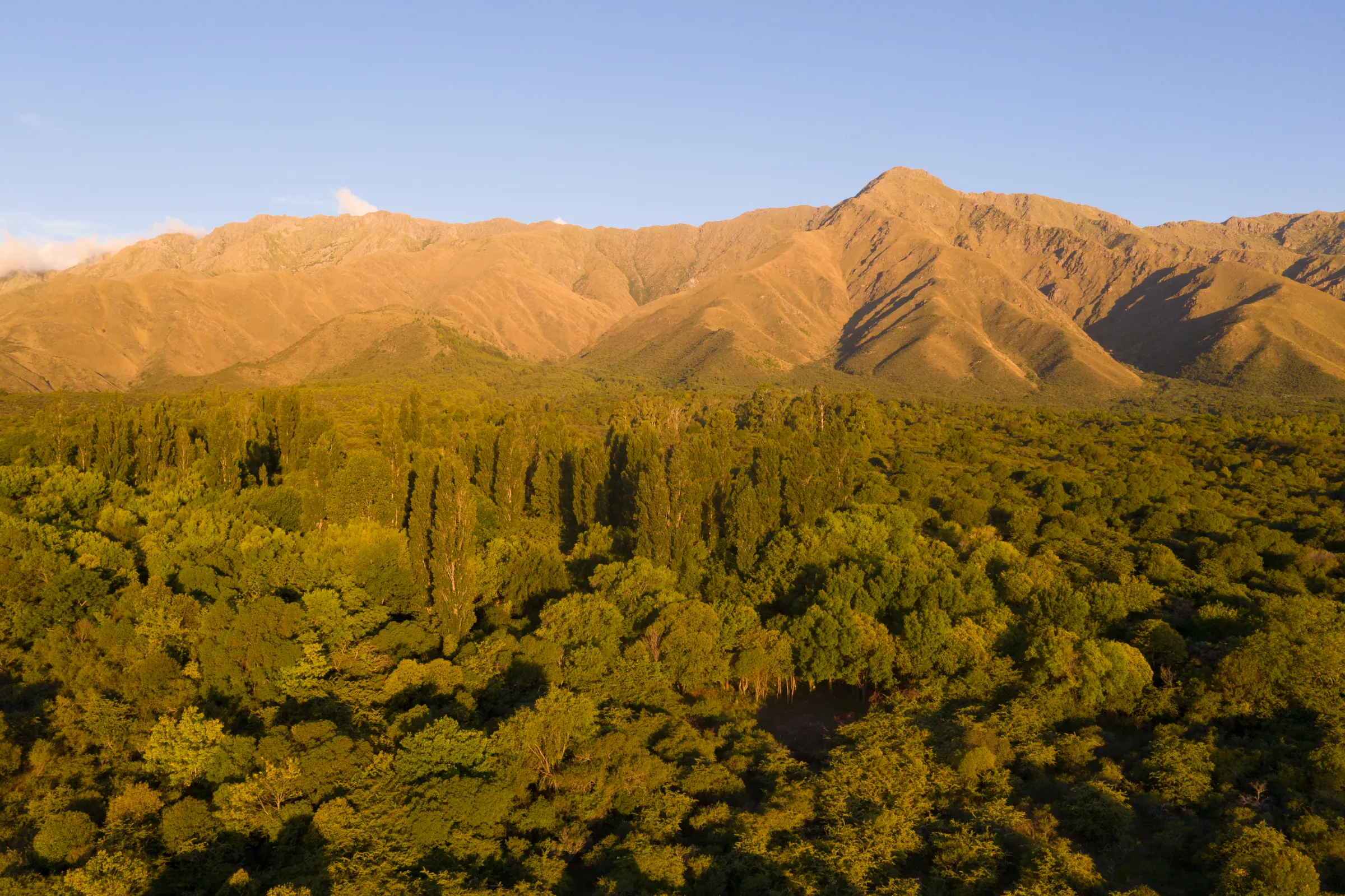 Vista aérea del bosque de la quebrada a la última luz, con el cordón de las Sierras Grandes dorado al fondo.
