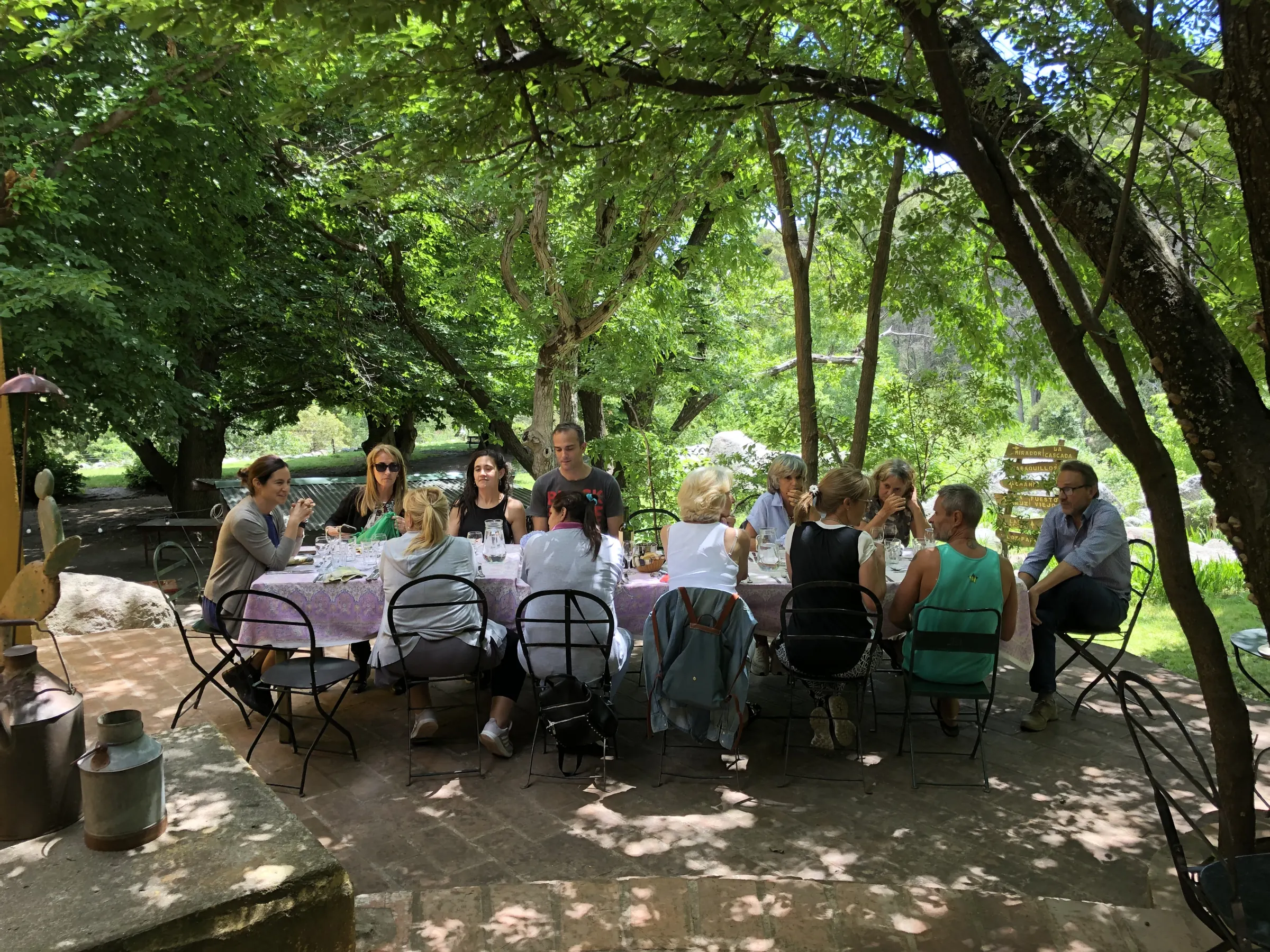 Una mesa larga con mantel servida bajo los árboles del patio de ladrillo, con doce personas almorzando.
