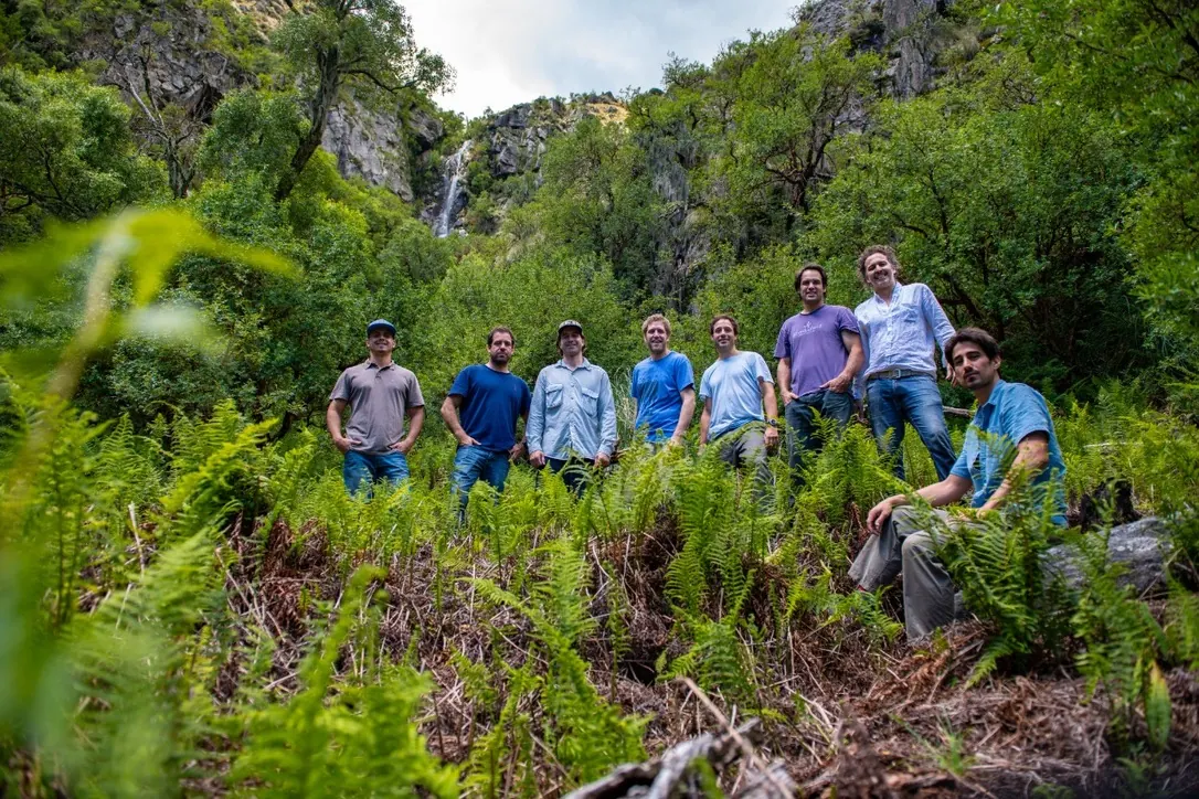 Ocho amigos parados entre helechos altos, con la cascada cayendo al fondo entre la vegetación.
