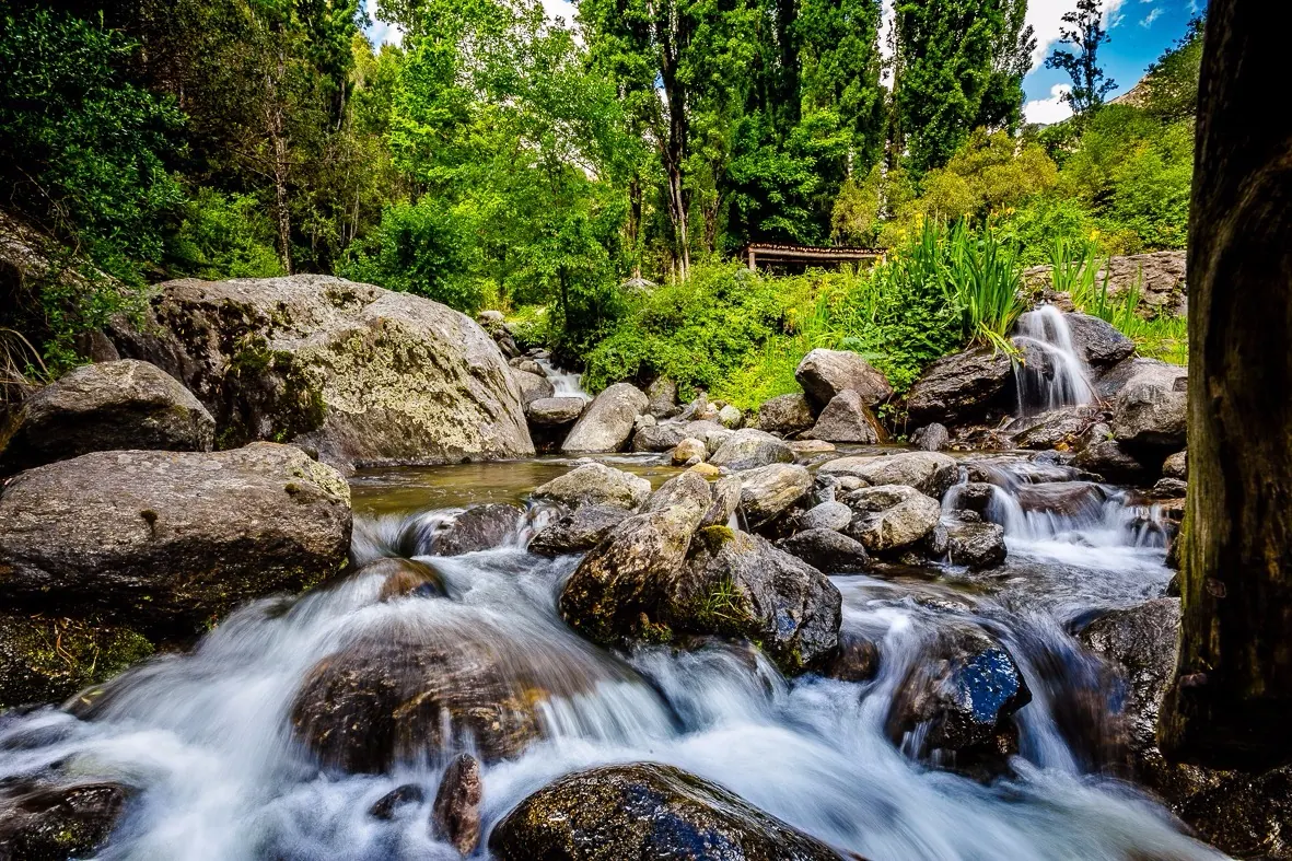 El arroyo bajando en saltos entre rocas redondeadas, fotografiado con exposición larga, con el bosque verde cerrado detrás.