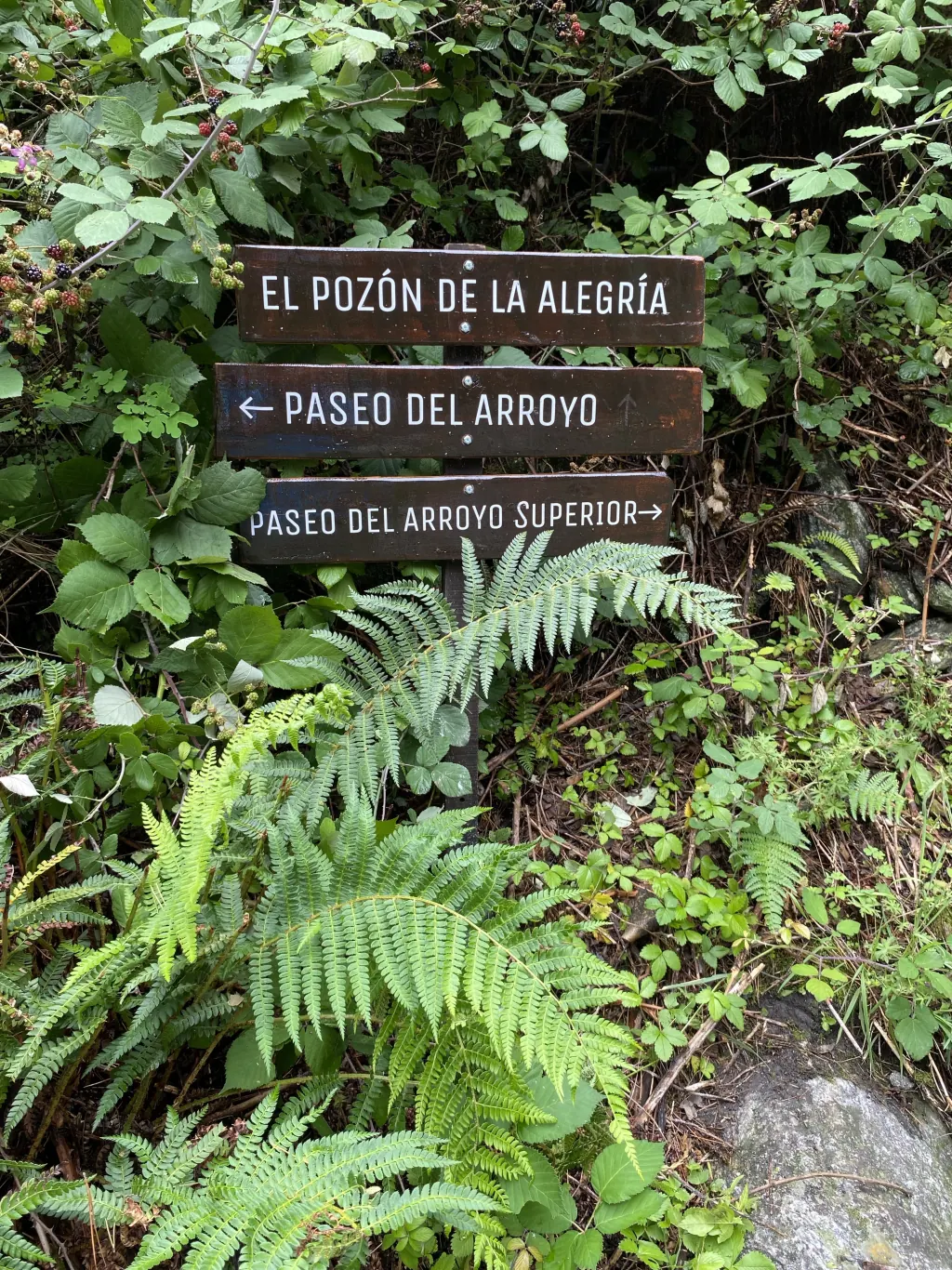 Los Carteles de los senderos.