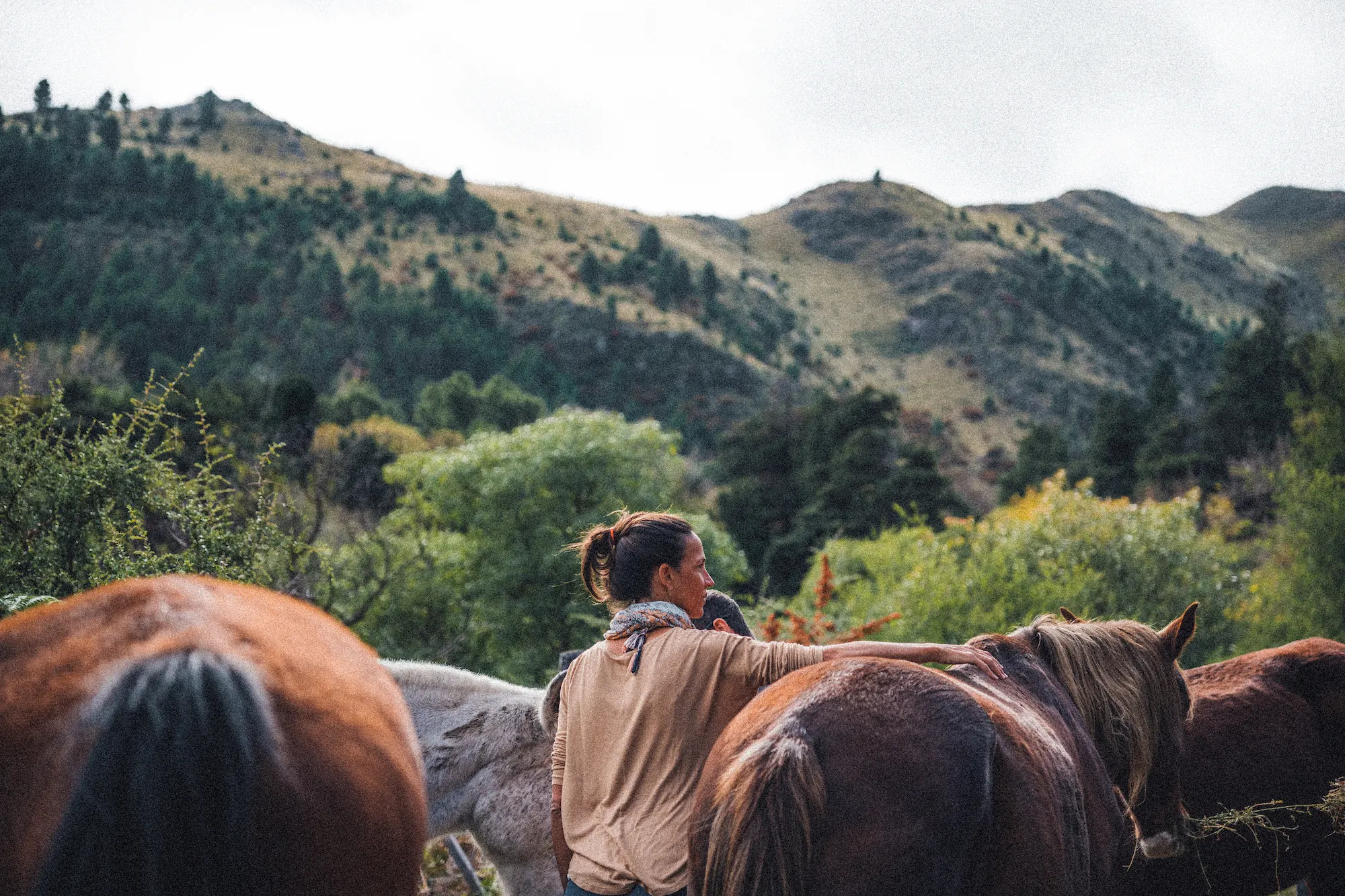 Caballos sueltos y una persona, con las sierras detras.