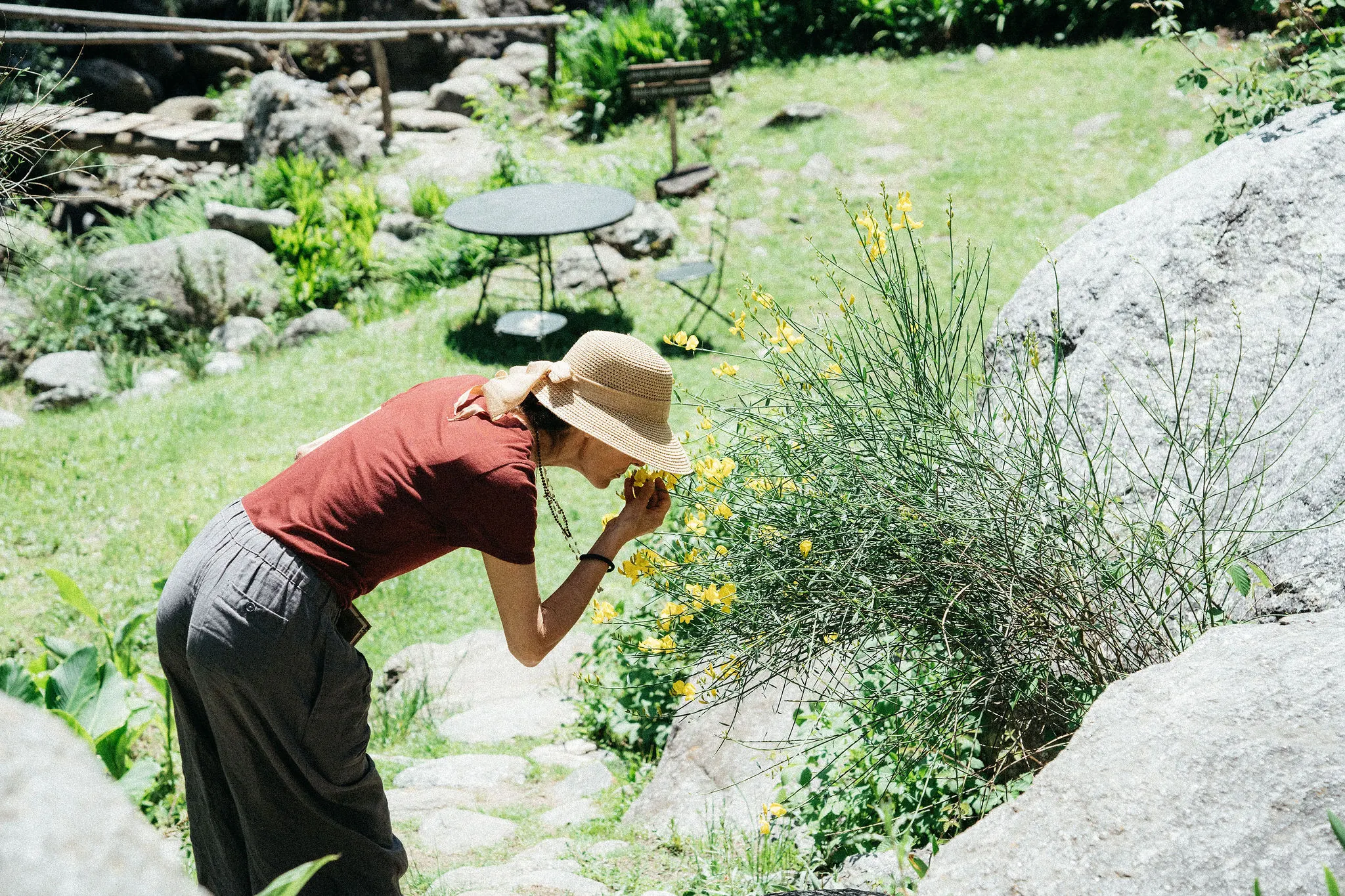 Alguien oliendo las flores amarillas del jardin.