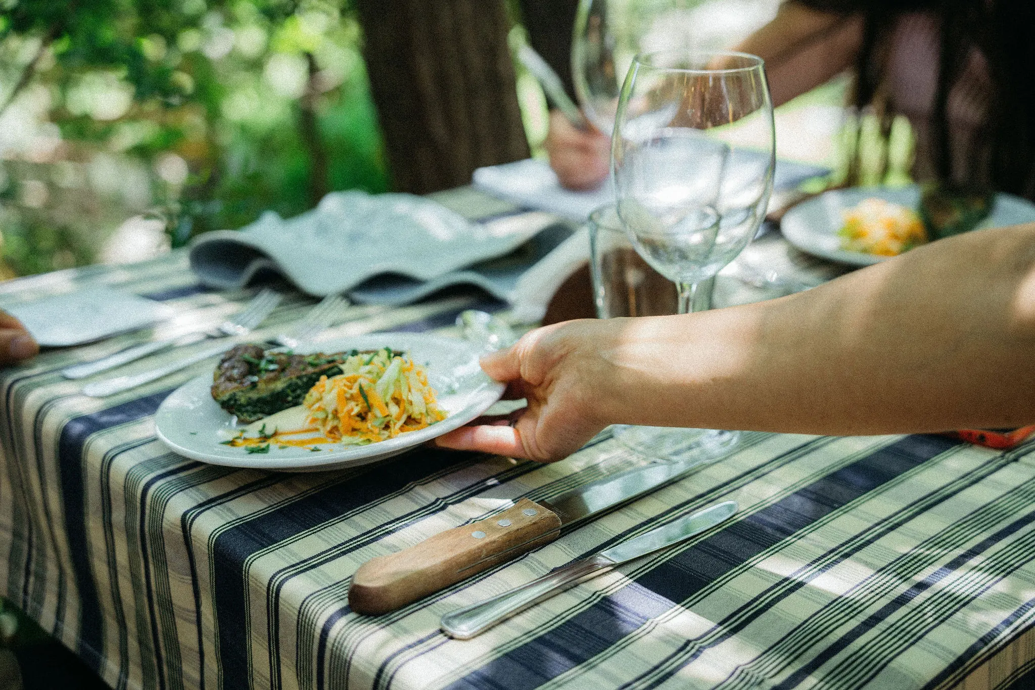 Una mano sirviendo un plato en la mesa al aire libre, con mantel a cuadros.