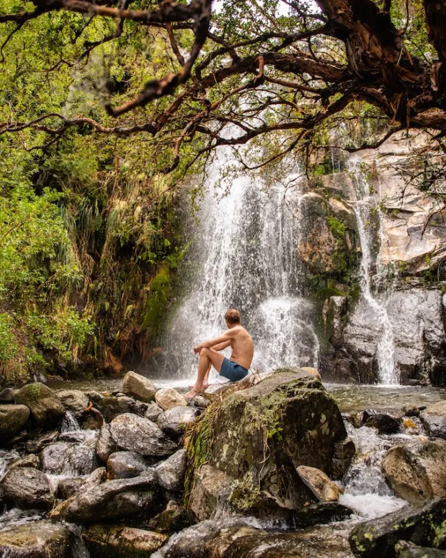 Una persona sentada en una roca frente a la cascada, bajo las ramas de un tabaquillo.