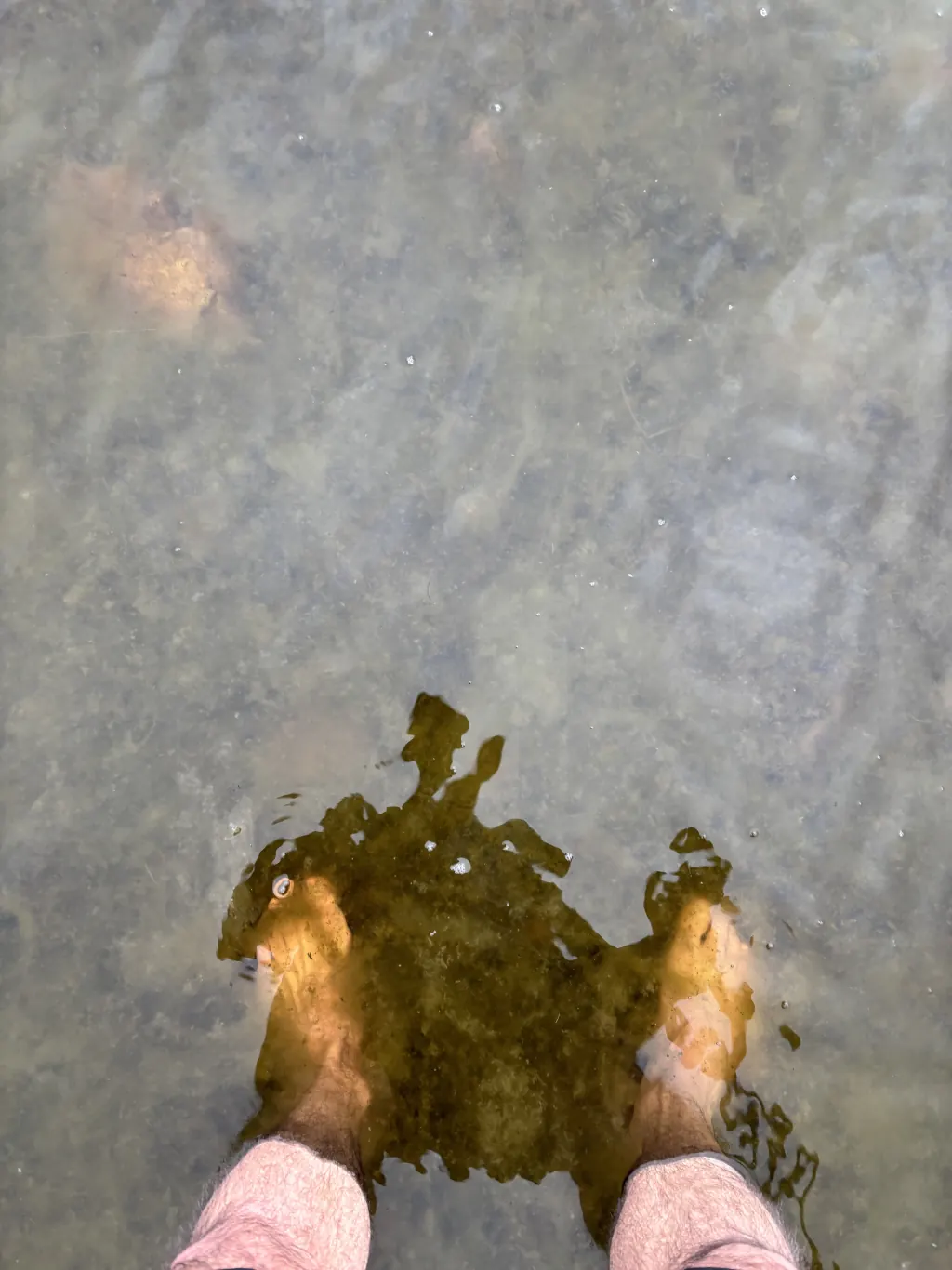 Adentro de la lagunita para conectar con el agua.
