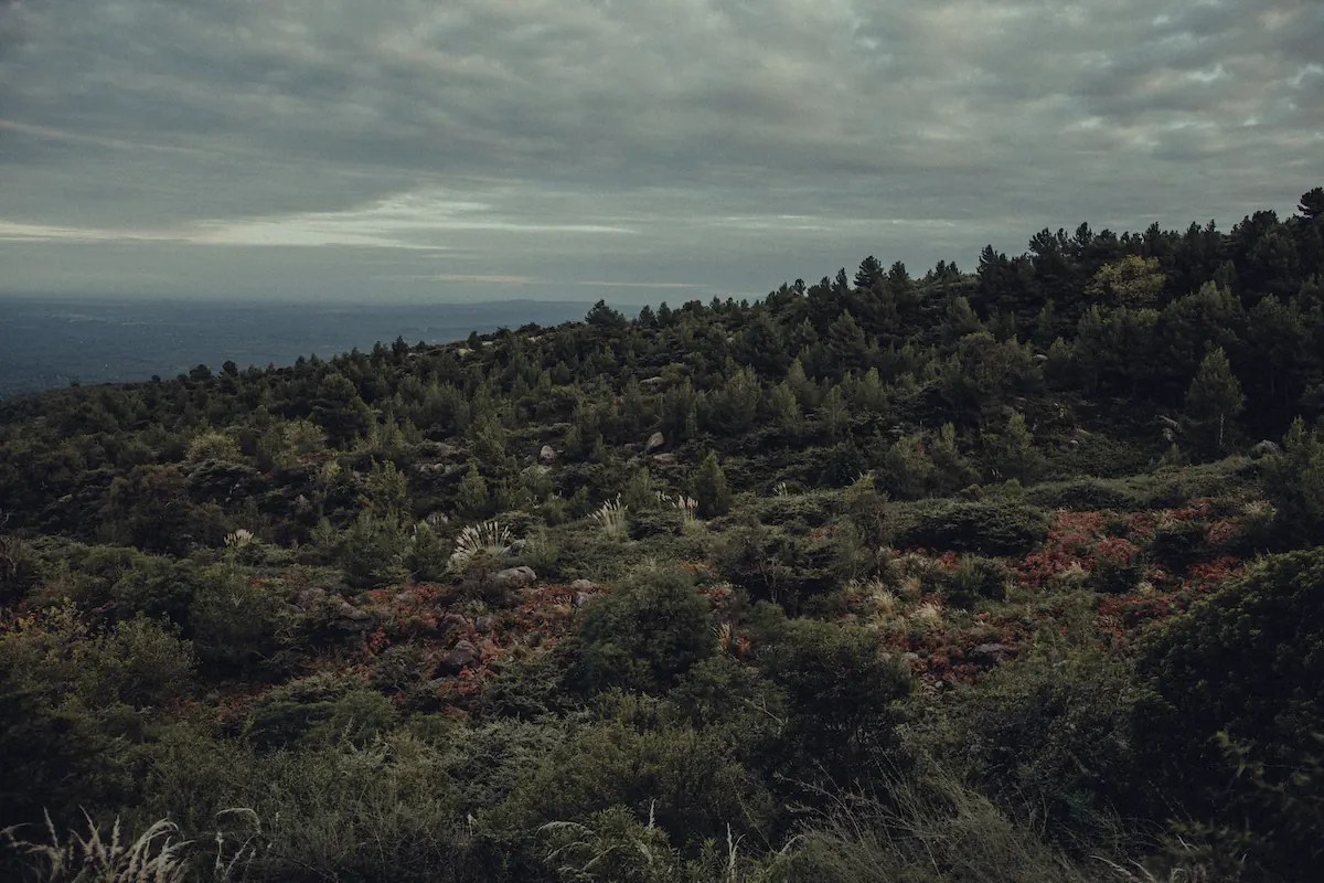Una ladera cubierta de vegetación baja bajo un cielo cargado.
