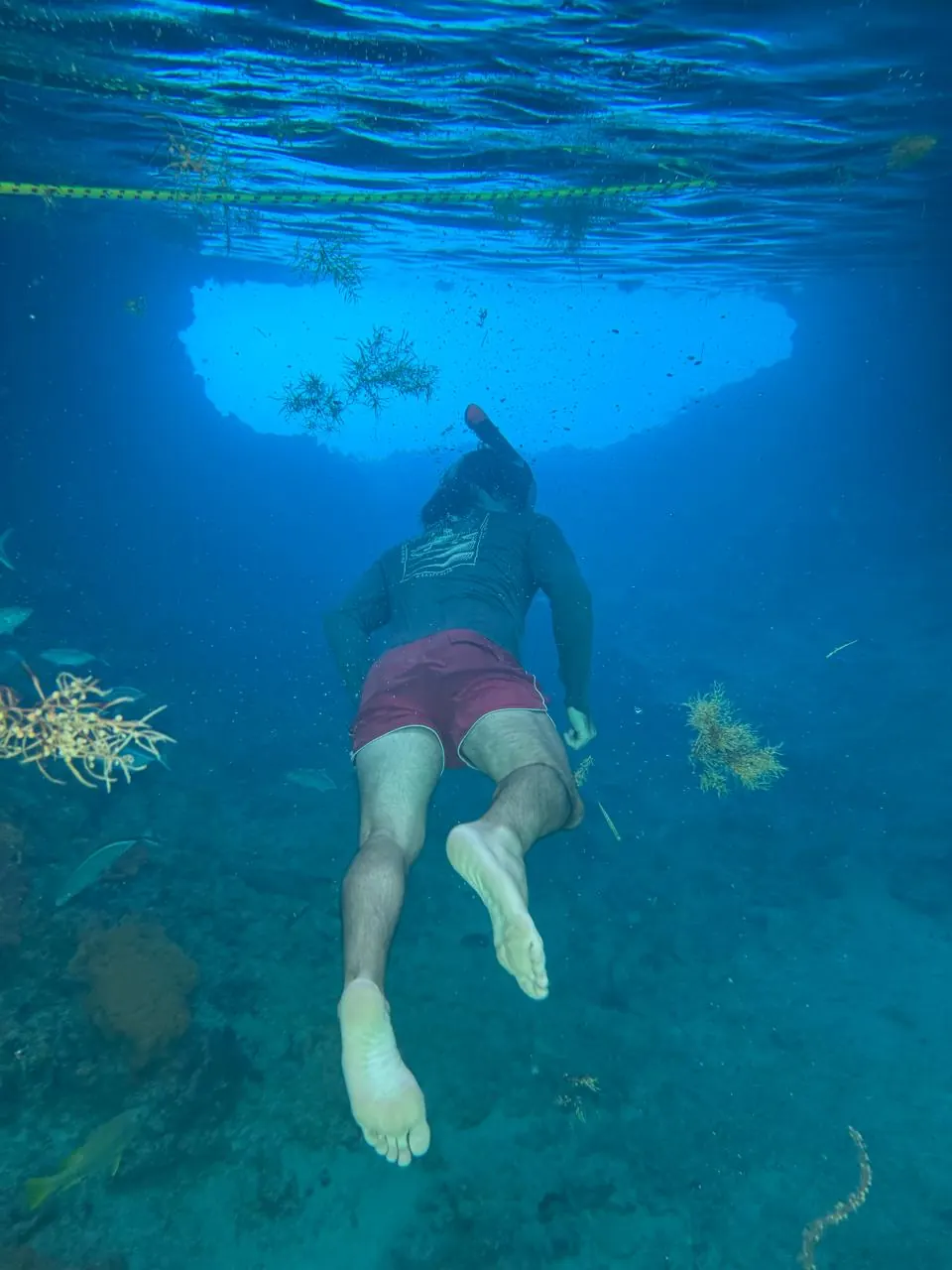Nadando en Bahamas.