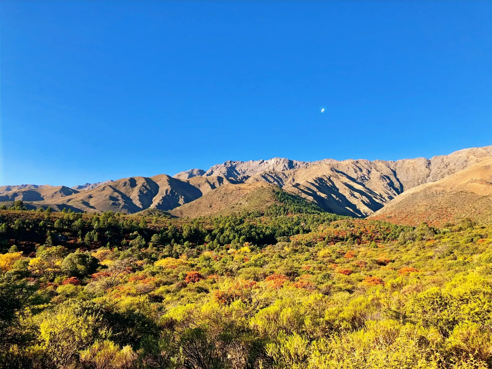 Las Sierras Grandes con el pastizal otoñal en primer plano y la luna todavía en el cielo.