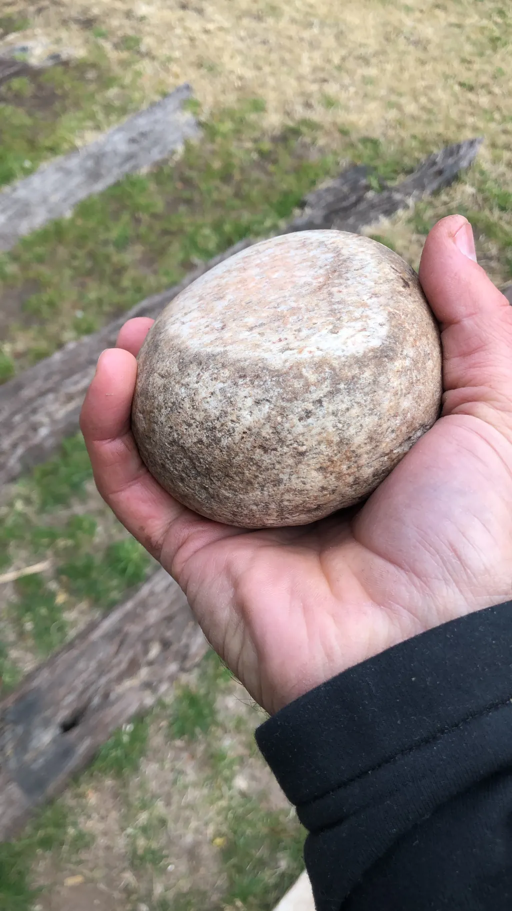 La piedra que encontre en el jardín de mi casa y que deje en la mancha blanca.