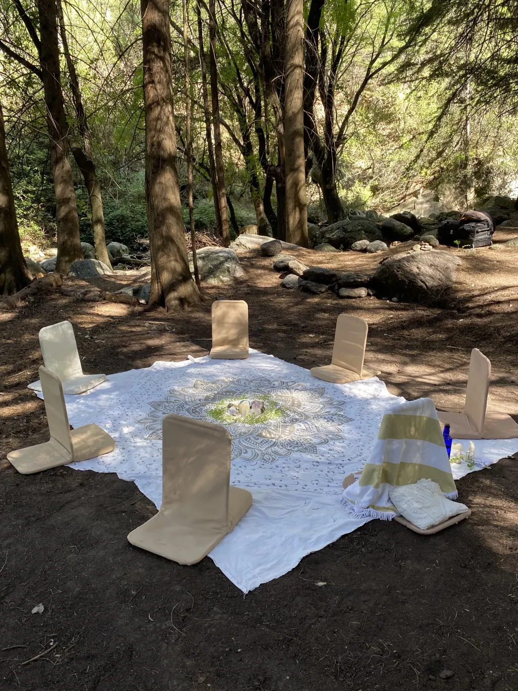 Ceremonia en el bosque de los Ancestros.