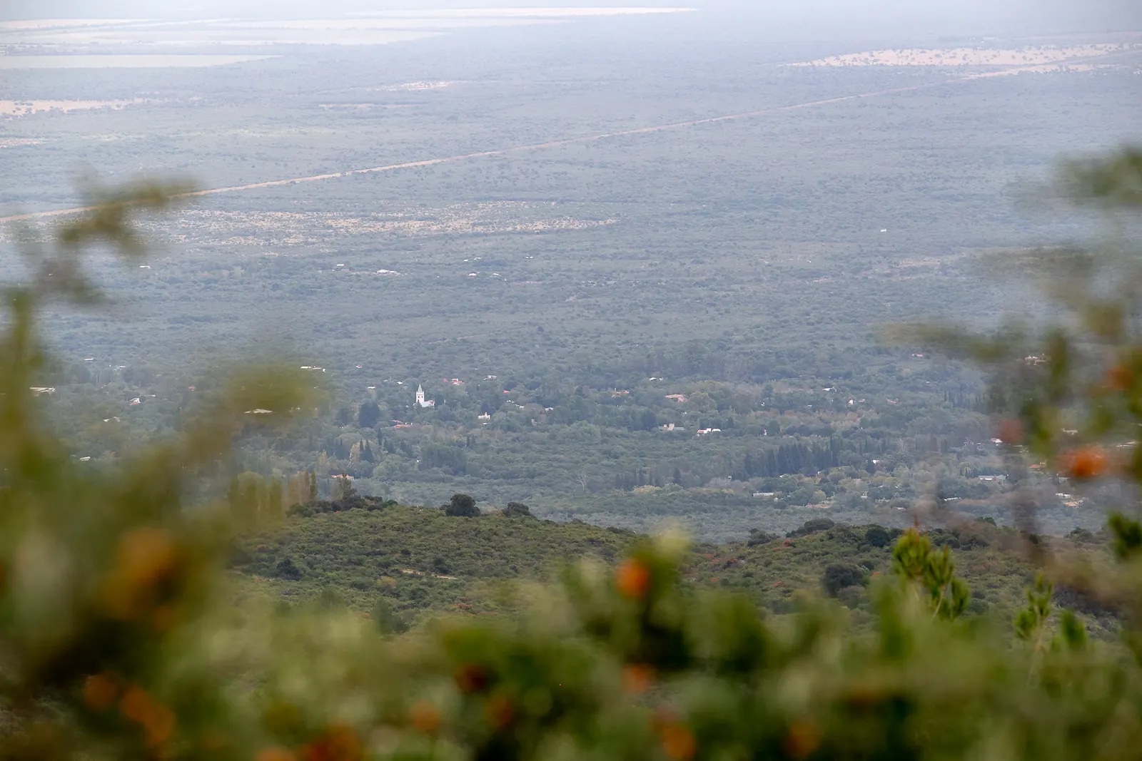 El valle visto desde la altura, con la vegetación de la ladera desenfocada adelante.