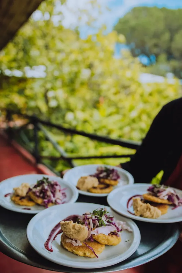 Cuatro platos de entrada con hummus, repollo morado y una reducción, en una bandeja sobre la baranda de la terraza, con el jardín detrás.