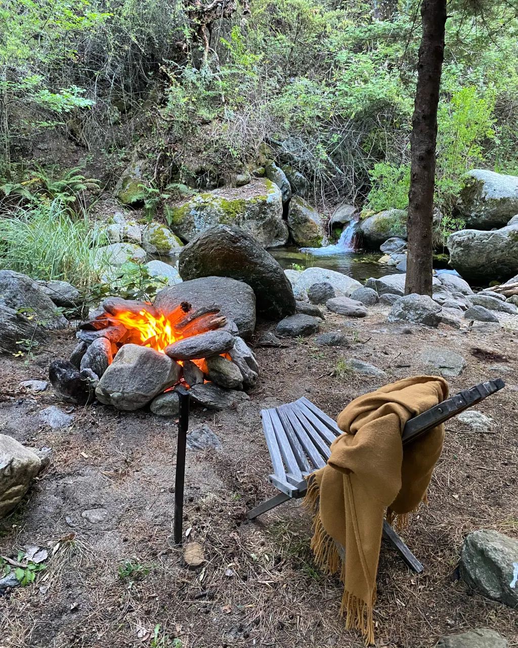 Ceremonia del Bosque de los Ancestros.