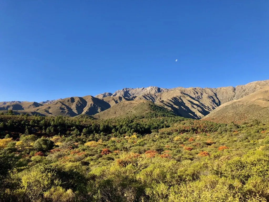 Las Sierras Grandes con la vegetación otoñal y la luna sobre el filo.