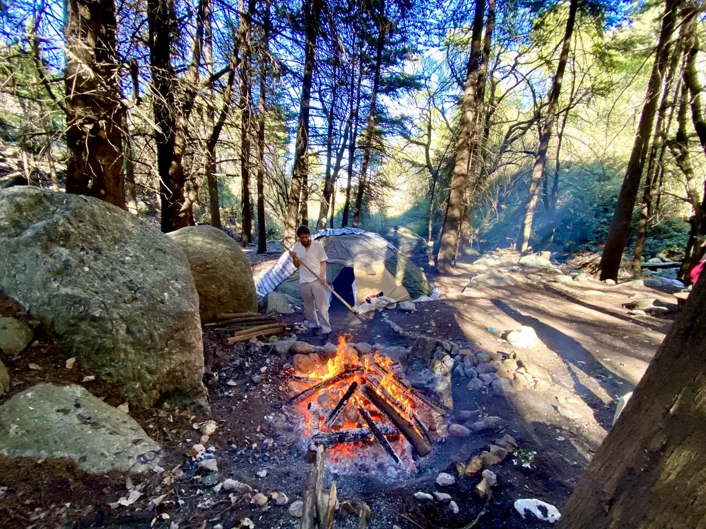 Un hombre acomodando las mantas de un temazcal entre los cipreses, con el fuego encendido en el círculo de piedras adelante.