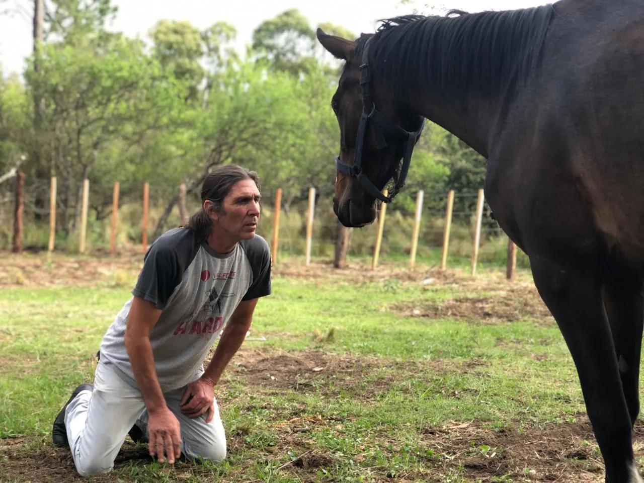 Un hombre arrodillado en el pasto frente a un caballo oscuro, mirándolo de cerca, con el alambrado detrás.